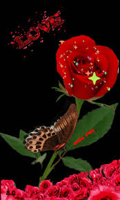 https encrypted tbn0 gstatic com images q tbn and9gcq69ptqwx2fm3ngkmuni6wqbo1gnalg1vfp6a usqp cau 2