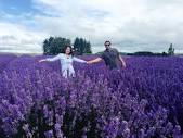 Couples shot! I so love it! - Picture of Alphra Lavenders, Te ...