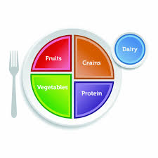 Myplate Guide To Healthy Eating The Voice Online