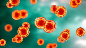 Image result for Biological Agent