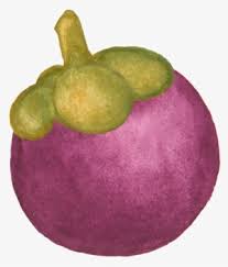 We did not find results for: Mangosteen Tropical Fruit Purple Vector Graphics Free Gambar Animasi Buah Manggis Transparent Png 1089x1280 Free Download On Nicepng