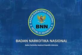 Over 20 million businesses have used our logo maker to design a logo. Lowongan Cpns Bnn 2021 Buka 148 Formasi Untuk Tenaga Teknis Dan Kesehatan Lulusan D3 Hingga S1 Bisa Mendaftar Semua Halaman Grid Hot