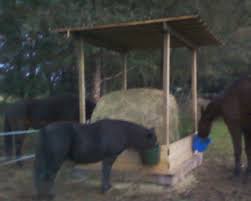 Marre De Remplir Vos Filets A Foin Page 2 Ratelier Foin Chevaux Cheval Abri Chevaux