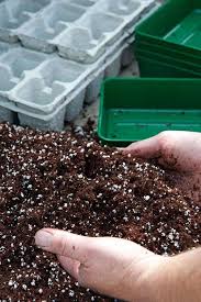 Peat can be used as a mulch in gardens but it dries easily and is then blown away by wind. What Are The Alternatives To Using Peat Compost Rhs Gardening