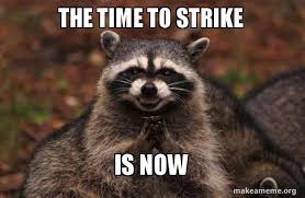 The Time To Strike Is Now Evil Plotting Raccoon Make A Meme