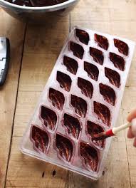 Bonbons Au Chocolat Maison Techniques Et Conseils Chocolat Maison Recette Bonbon Chocolat Recette Chocolat Maison