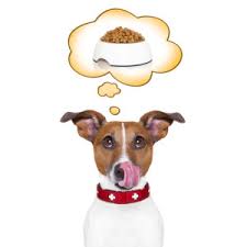 In 2008, this recall was limited to cat food sold in australia. Just Dog Food Best Dog Food In Australia Healthy Dog Food Products