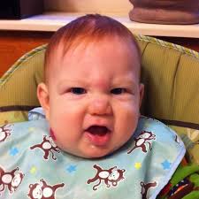 Debra Corbett Email & Phone Number