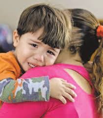 Greg Pearlman's Instagram, Twitter & Facebook