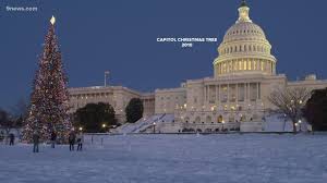 For the ones, who do not fancy partying can celebrate the new beginning by gazing at the new year fireworks in washington at some of the best destinations and. U S Capitol 2020 Christmas Tree Harvested Near Delta Colorado Firstcoastnews Com