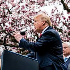 A situation beyond the ordinary which threatens the health or safety of citizens and which cannot be properly addressed by the use of other law. Here S What Trump S Coronavirus National Emergency Can Do The New York Times