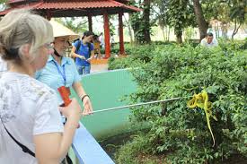Chi tiết giá vé tham quan Trại Rắn Đồng Tâm ở Tiền Giang mới nhất 2021 |  Viet Fun Travel