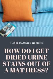 How Do I Get Dried Urine Stains Out Of A Mattress In 2020 Urine Stains Mattress Cleaning Urinal