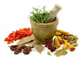 Qué es la naturopatía | Instituto de Medicina Natural (IMN)