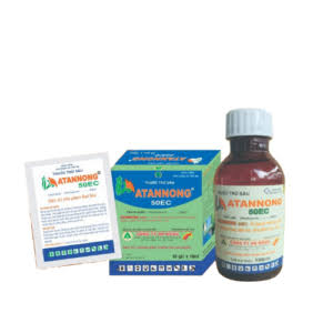 Ametrintox 6EC