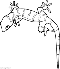 Geckos are common small lizards with suction cup structures on their paws that allow them to crawl on smooth surfaces. Gecko Coloring Pages Coloringall