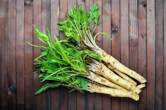 Horseradish Là Gì? Lợi Ích, Ứng Dụng Ẩm Thực Và Cơ Hội Phát Triển Tại Việt  Nam | Nguyên Hà chuyên cung cấp xúc xích, pate, Jambon, thịt xông khói,  thực phẩm