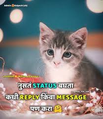 1 366 Likes 4 Comments Miss You Januu Miss You Januu On Instagram In 2020 Miss You Instagram Miss