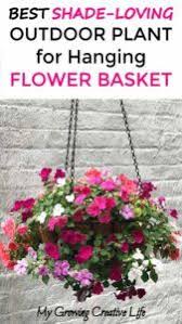 Apr 24, 2020 · when choosing shade tolerant flowers for hanging baskets, you will also need to determine how much shade the planting area actually receives. Diy Shade Loving Outdoor Plant For Flower Hanging Basket Hanging Plants Outdoor Plants For Hanging Baskets Flower Pots Outdoor
