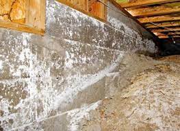 Catstrong llc has actually been giving house owners in virginia beach and also the bordering locations with top quality mold inspection and removal as well as removal in virginia beach as well as numerous. Mold Inspections Testing And Removal In Va Beach Virginia Hero Mold Removal