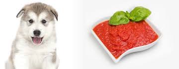 Tecnicamente dovresti mangiarne mezzo chilo al giorno, circa, quindi non farti problemi e quando vuoi mangiarla mangiala. I Cani Possono Mangiare La Salsa Di Pomodoro Blog Cani
