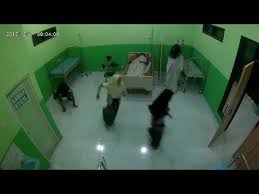 Download Shot On Iphone Meme Indonesia 3gp Mp4 Codedwap