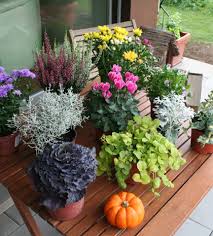 Der Winter Kommt Bestimmt Herbstblumenkasten Bepflanzen