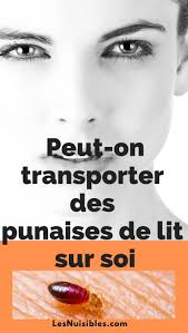 Epingle Sur Les Punaises De Lit