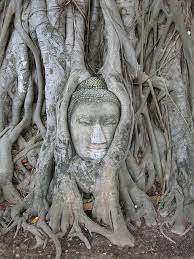 Buddha In The Bodhi Tree Buddha Tree Faces Tree Sculpture