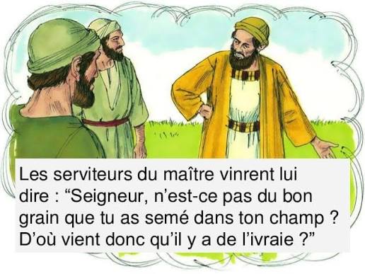 Radio - « Laissez-les pousser ensemble jusqu'à la moisson »— Mt 13, 24-43  Évangile de Jésus Christ selon saint Matthieu En ce temps-là, Jésus proposa  cette parabole à la foule : «