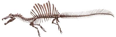 Sauroposeidon - Dinopit