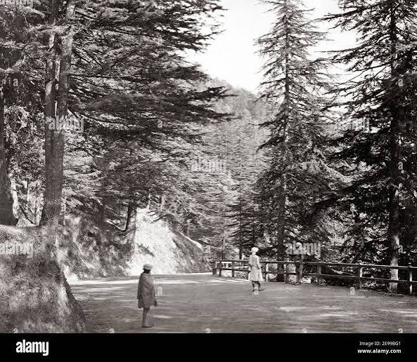 Late 19th century photograph - The Mall, Simla, Shimla, India Stock Photo - Alamy