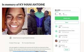 Online fundraiser started for car crash victim's memorial