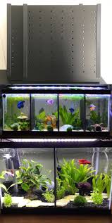 Aquariums And Tanks 20755 20 Gallon Long Fish Tank Divider No Suction Cups Required Buy It Now Onl Small Fish Tanks Fish Tank Decorations Cool Fish Tanks