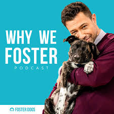 At least 18 years old. Foster Dogs Inc Fosterdogsnyc Twitter