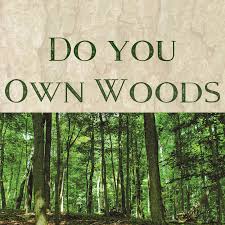 $175 (elm) to $480 (hickory) — dave's firewood. Njdep New Jersey Department Of Environmental Protection