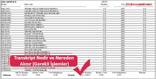 Maöl den aöl ye geçiş dilekçe örneği. Transkript Nedir Ve Nereden Alinir Gerekli Islemler Dilekce Sepeti