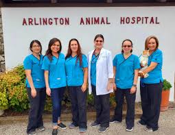 To schedule a wellness exam or other form of veterinary care, contact animal clinic of. Veterinarian In Arlington Tx 76012 Arlington Animal Hospital