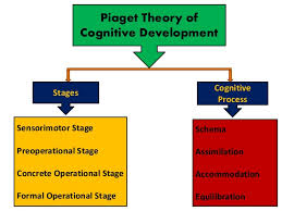 Jean Piagets Theory And Stages Of Cognitive Development