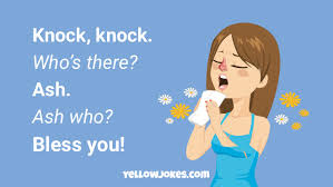 These kind of jokes can be hear in almost all facets of american media despite the fact recently that have come to be seen as jokes for kids. Hilarious Knock Knock Jokes That Will Make You Laugh