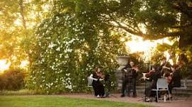 Music In Bloom at New England Botanic Garden