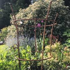 Maybe you would like to learn more about one of these? Rose Peony Rusted Metal Garden Plant Supports Gardenskill