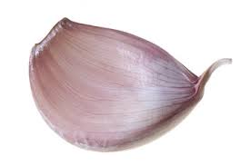 Resultado de imagen de ajo dientes