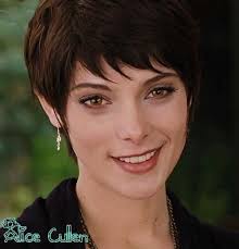 сумерки сага рассвет часть 1 смотреть онлайн бесплатно на русском 403 Forbidden Alice Cullen Alice Twilight Ashley Greene Twilight