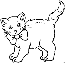 Katze Mir Schleife Ausmalbild Malvorlage Tiere