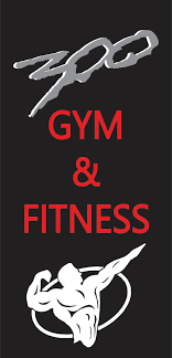 300 Gym & Fitness