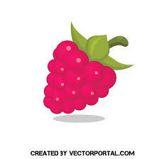 Raspberry Vector Clip Art Fruits Drawing Clip Art Art