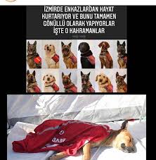 instagram da asena dere yorgun dusmus canim benim allahim sizleride her daim akla gelebilecek tum kotuluklerden tum cirkinliklerden ve eziyetlerden korusun