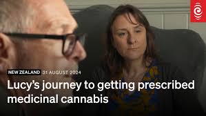 Budding' venture demystifies cannabis prescription in New Zealand