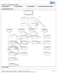 hospital organization chart templates at